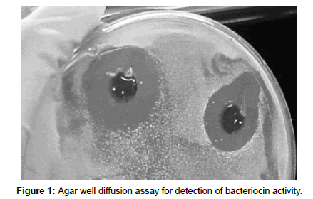 plant-pathology-microbiology-Agar-well-diffusion