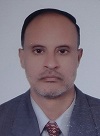 Essam A. El-Moselhy