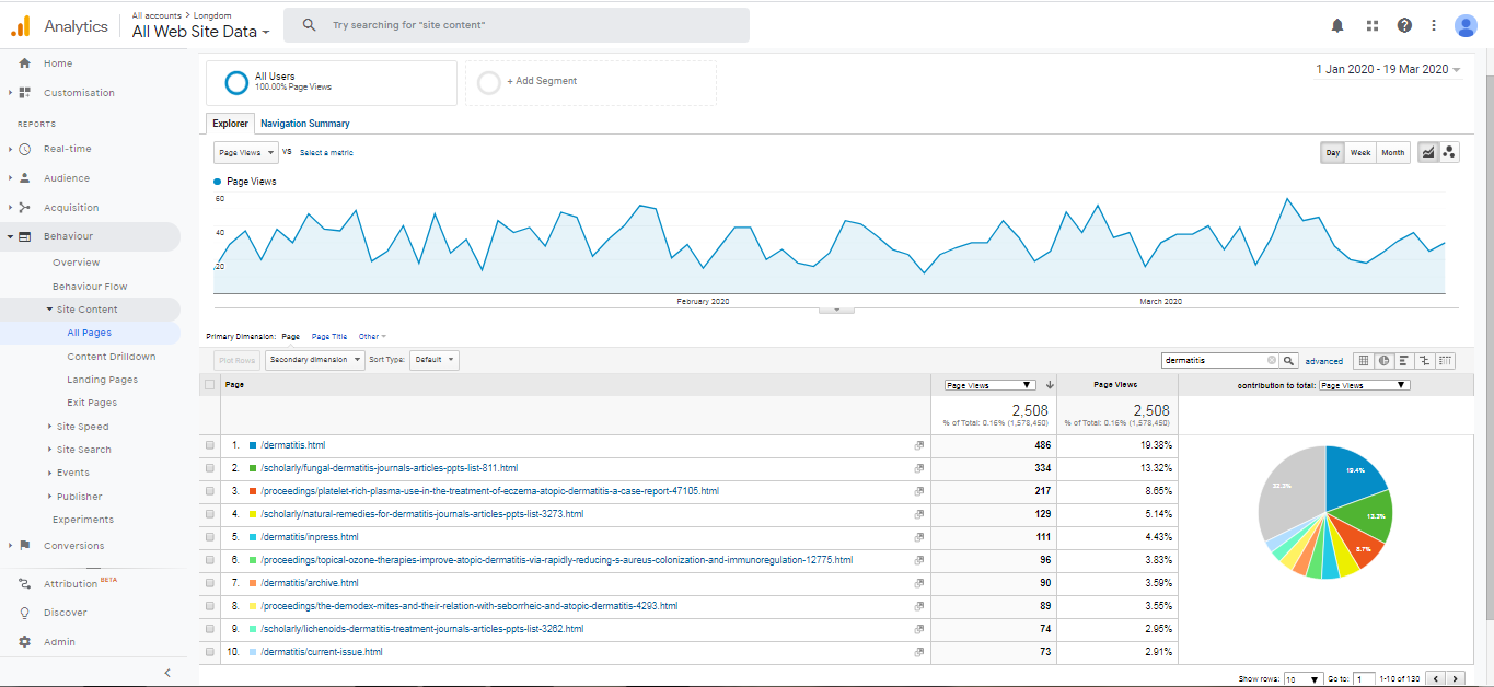 Visitor Analysis Report