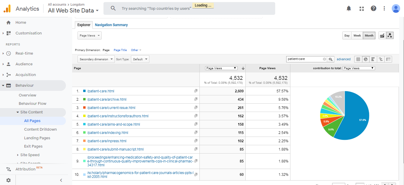 Visitor Analysis Report