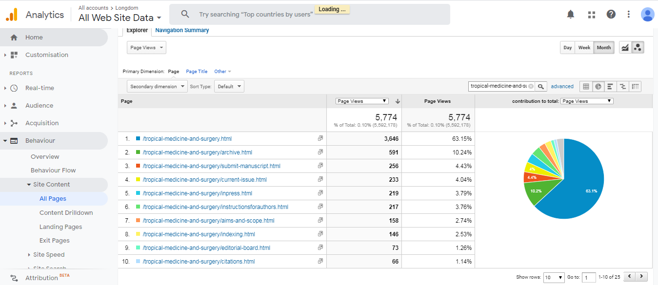 Visitor Analysis Report