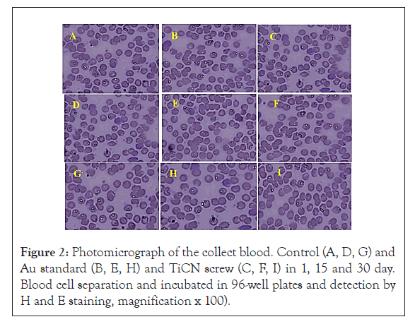 Biochemistry-separation