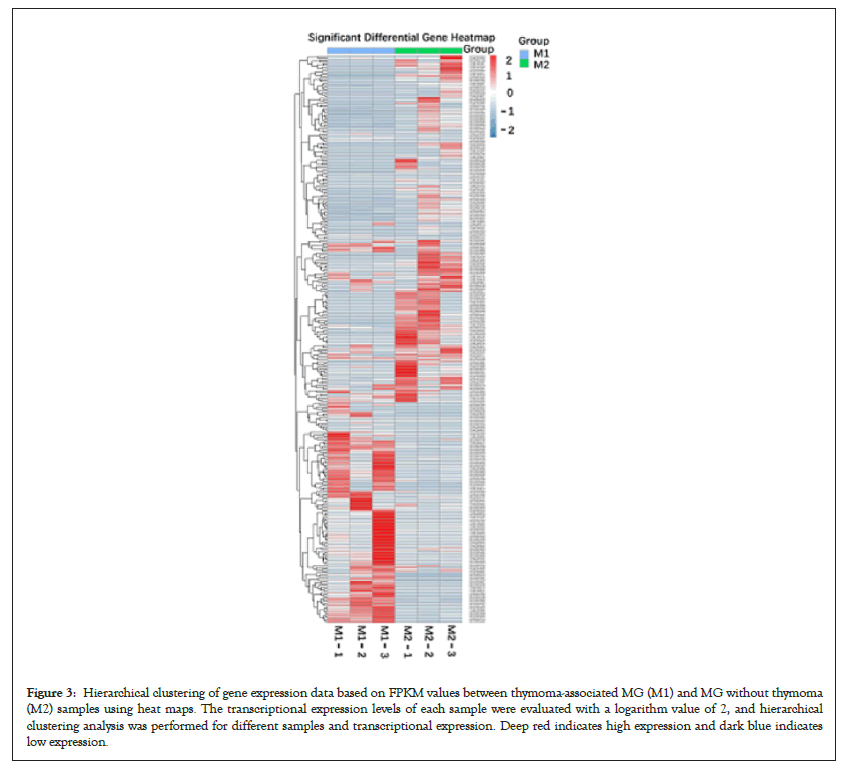 transcriptional