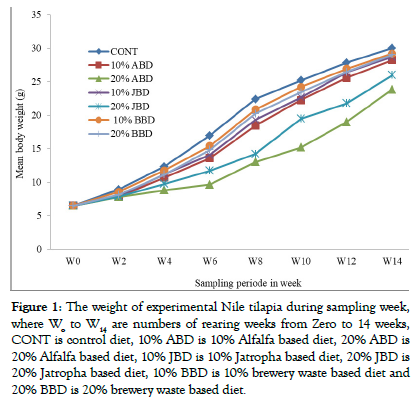 acqaculture-research-development-weight-experimental-nile