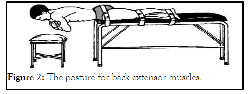 aging-science-extensor