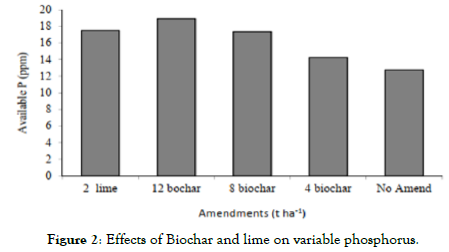 agrotechnology-Biochar