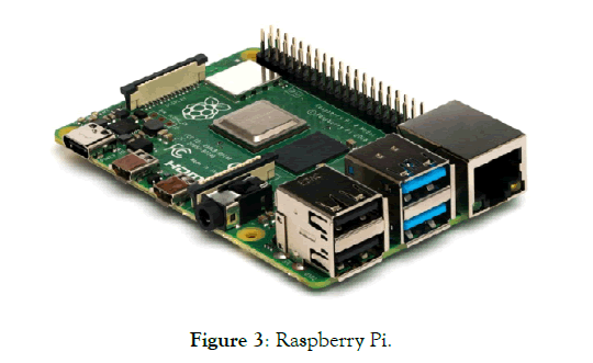 agrotechnology-Raspberry