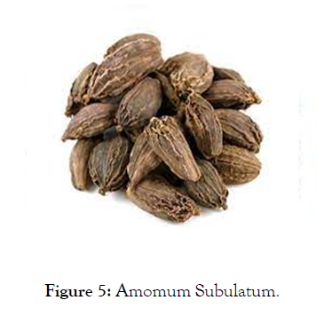 agrotechnology-Subulatum