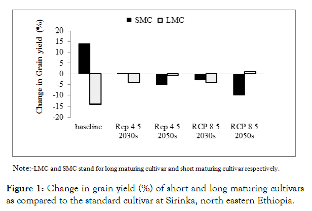 agrotechnology-grain