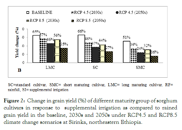 agrotechnology-maturity