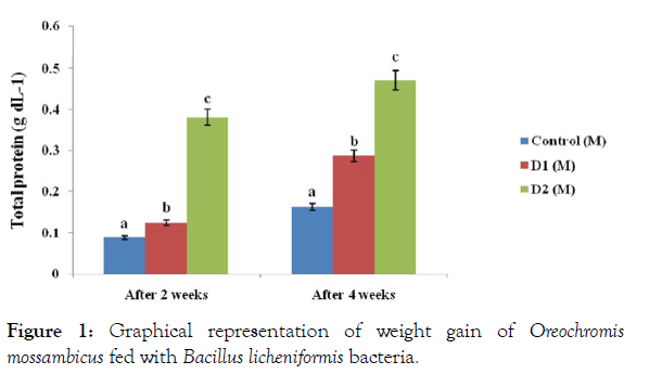 aquaculture-research-development-bacillus