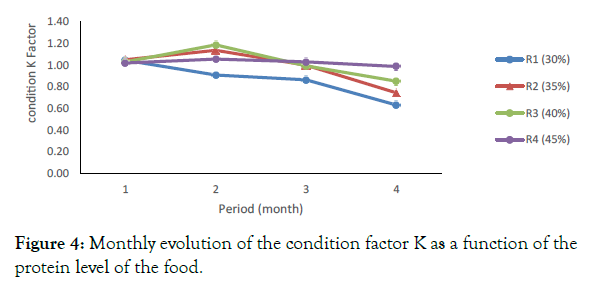 Effects of Dietary Protein Level on Growth Performance of Pre-growing  Catfish Clarias jaensis (Boulanger 1909) Fingerlings in Captivity