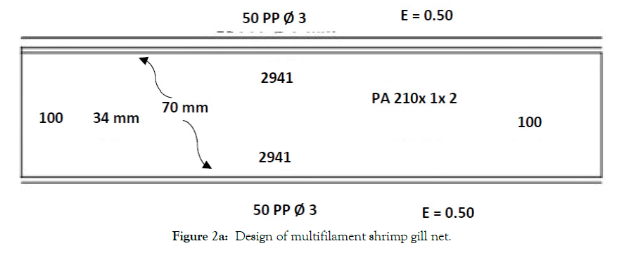 aquaculture-research-development-multifilament-shrimp