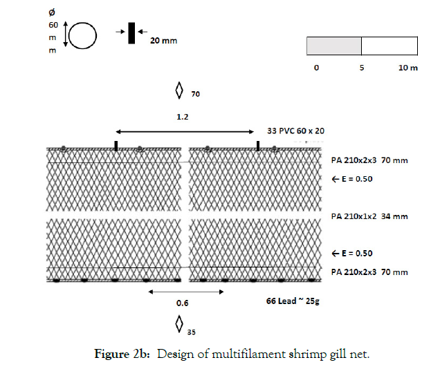 aquaculture-research-development-multifilament-shrimp