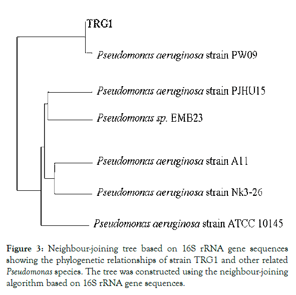 aquaculture-research-development-phylogenetic