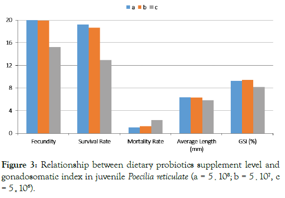 aquaculture-research-development-poecilia