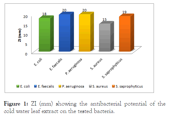 bacteriology-parasitology-antibacterial