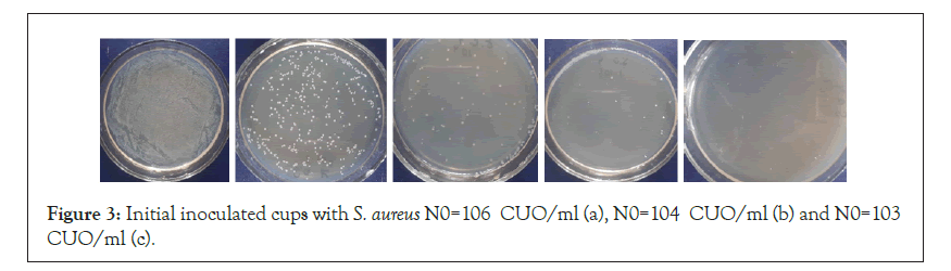 bacteriology-parasitology-inoculated