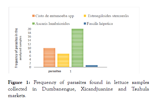 bacteriology-parasitology-lettuce