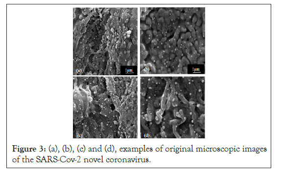 bacteriology-parasitology-novel