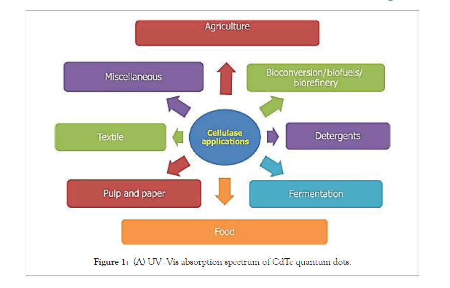 biochemistry-absorption