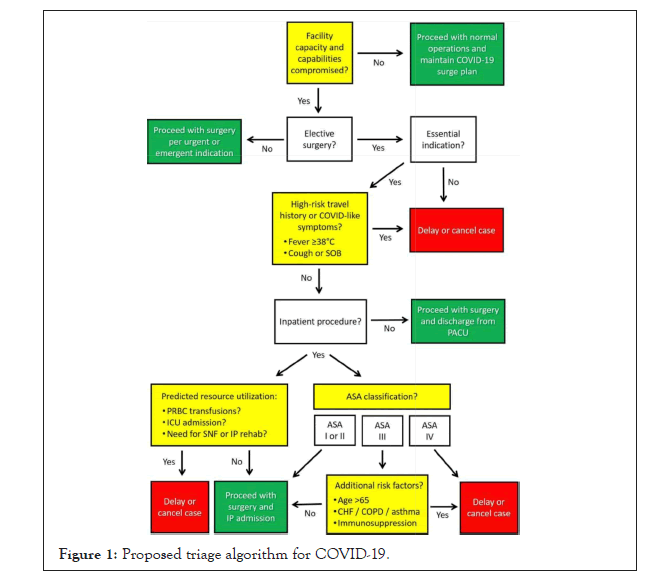 bioethics-algorithm