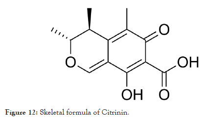 bioethics-citrinin