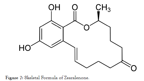 bioethics-zearalenone