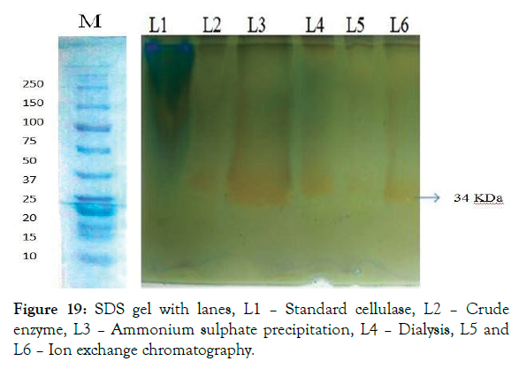 biomolecular-research-therapeutics-chromatography