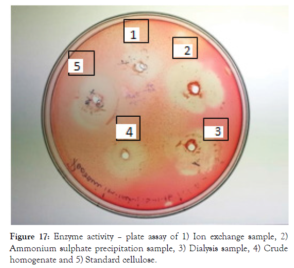 biomolecular-research-therapeutics-dialysis