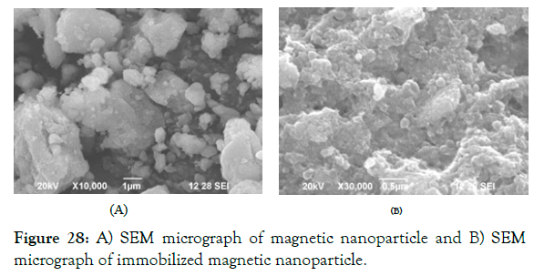 biomolecular-research-therapeutics-immobilized