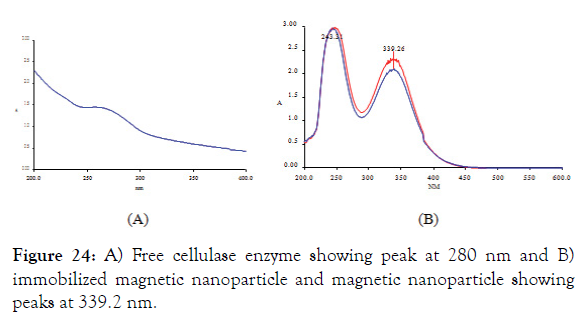 biomolecular-research-therapeutics-nanoparticle