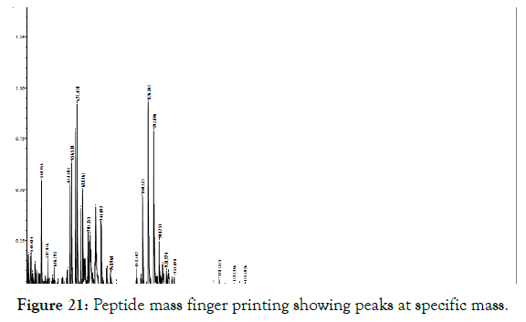 biomolecular-research-therapeutics-peptide-mass