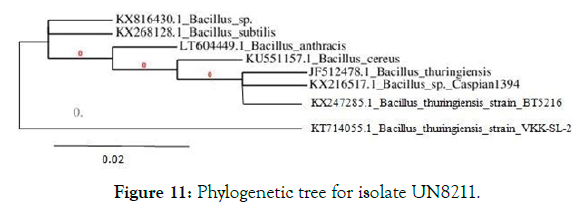 biomolecular-research-therapeutics-phylogenetic
