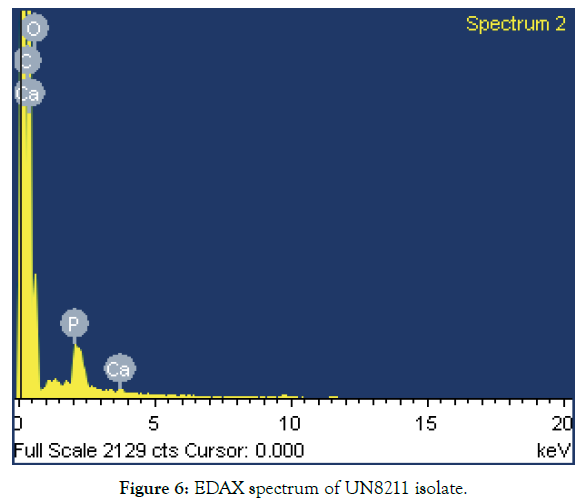 biomolecular-research-therapeutics-spectrum