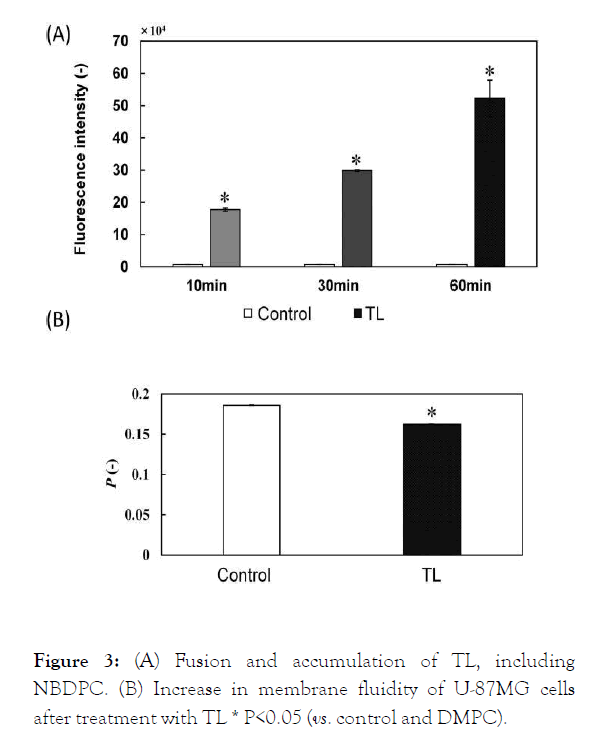 carcinogenesis-mutagenesis-accumulation