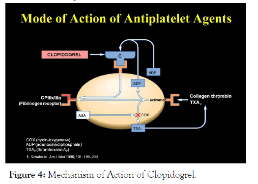 carcinogenesis-mutagenesis-action