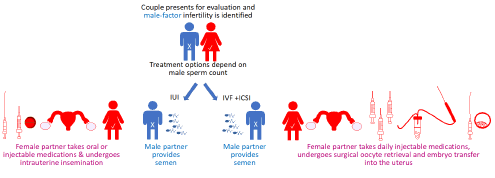 clinics-mother-male