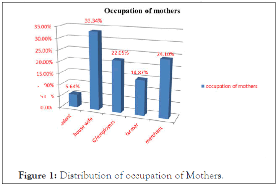 clinics-mother-occupation