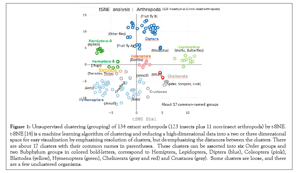 data-mining-clustering