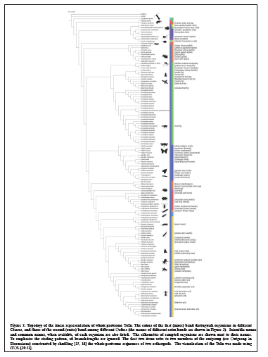 data-mining-visualization