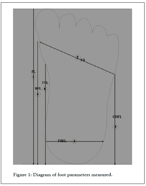 forensic-biomechanics-foot