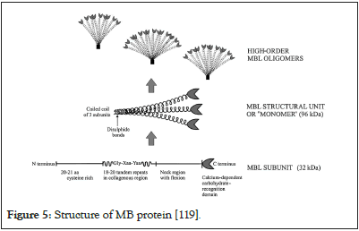 Structure