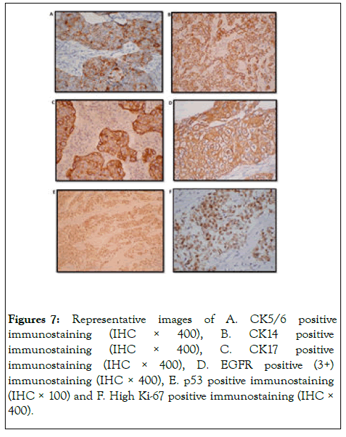 gene-technology-immunostaining