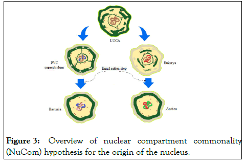 gene-technology-nuclear