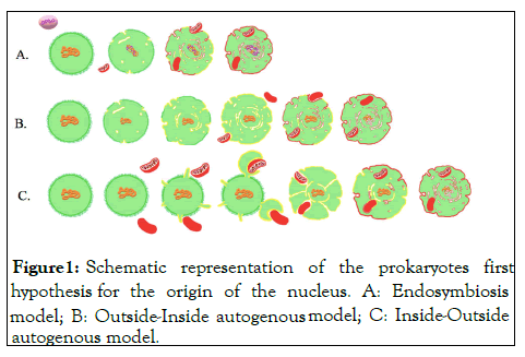 gene-technology-prokaryotes