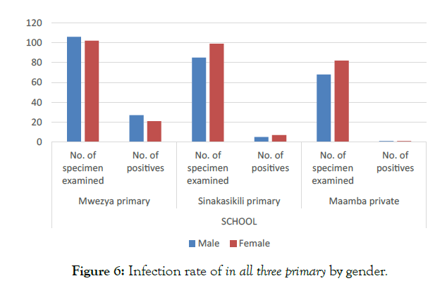 global-journal-biology-agriculture-health-sciences-gender