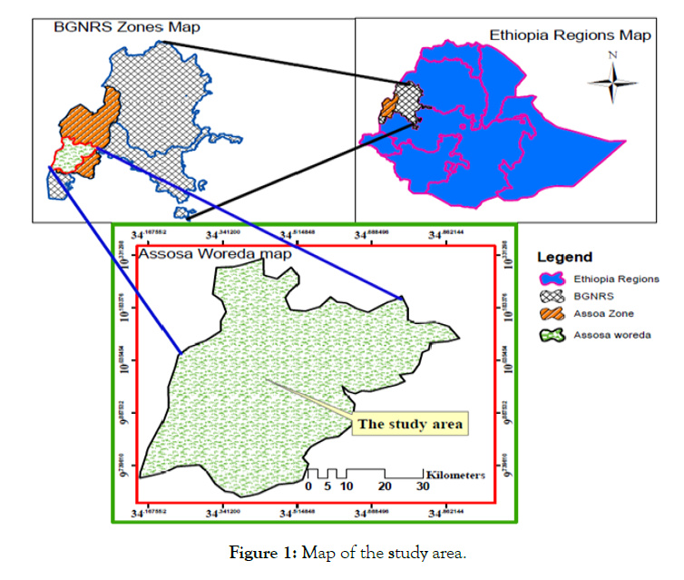 global-journal-biology-agriculture-health-sciences-study