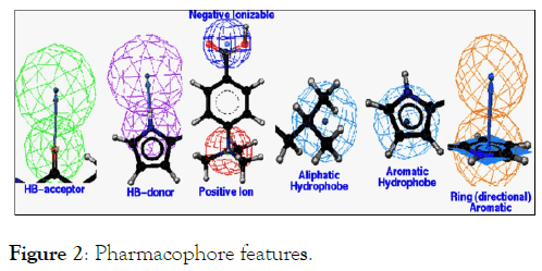 Pharmacophore