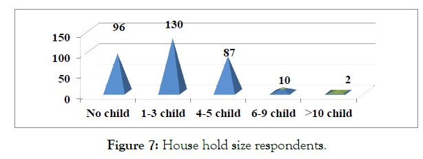 international-journal-accounting-research-size